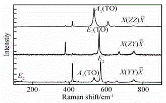 Raman scattering method for measuring GaN thermal expansion coefficient