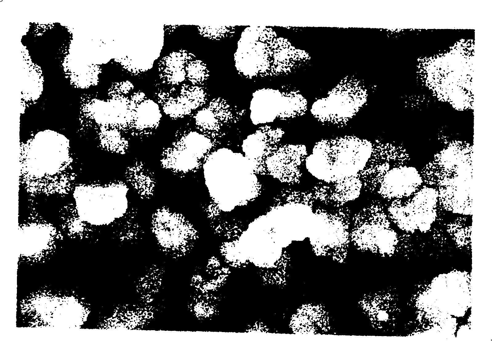 Method for preparing Lithium transition metal composite oxides from carbonate propodosoma