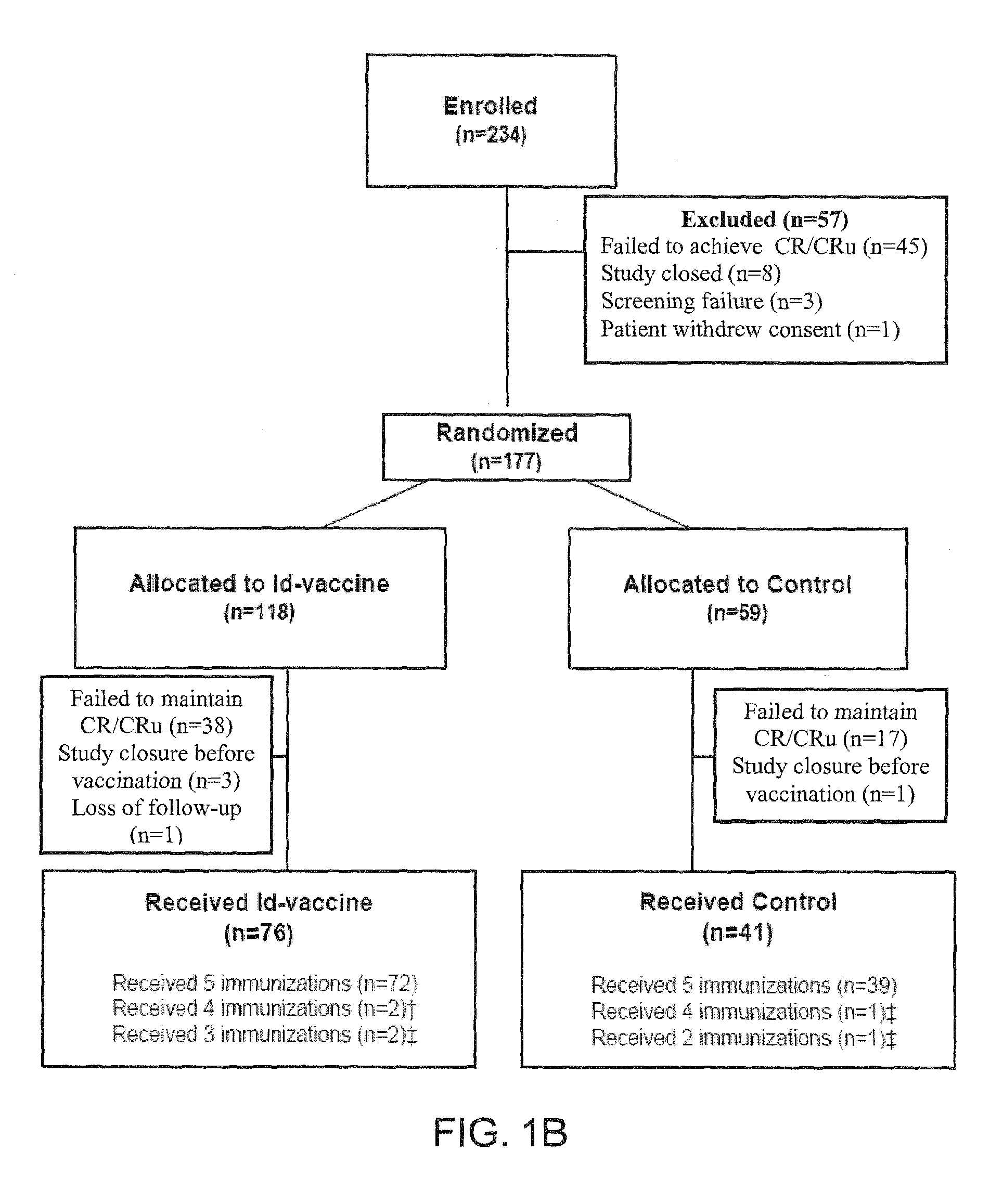 Materials and methods for directing an immune response to an epitope