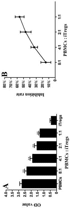 Application of MBL in preparing drug for preventing or treating disease induced by effector T cell