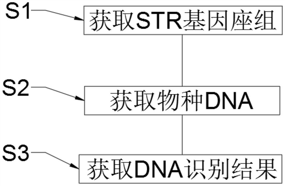 Cross-species individual identification method and individual identification analysis system