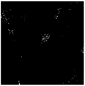 Bacteriophage and application thereof