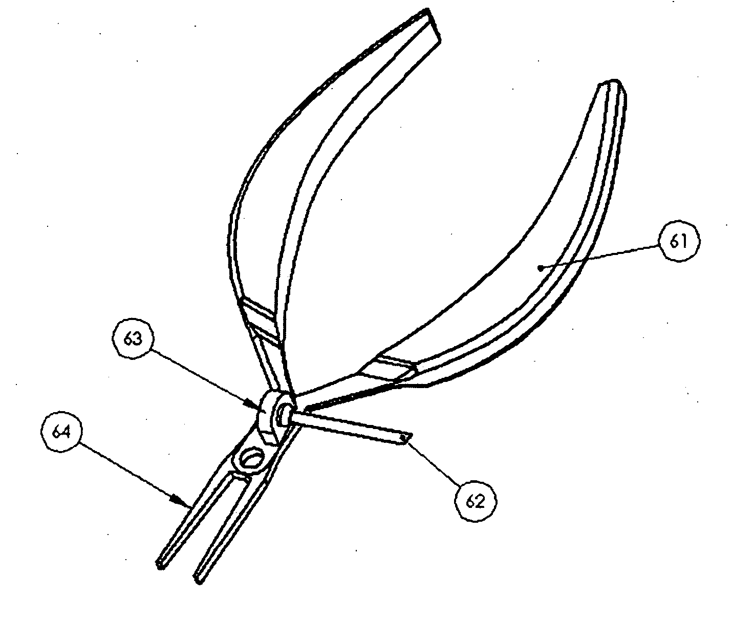 Apparatus and procedure for fish boning