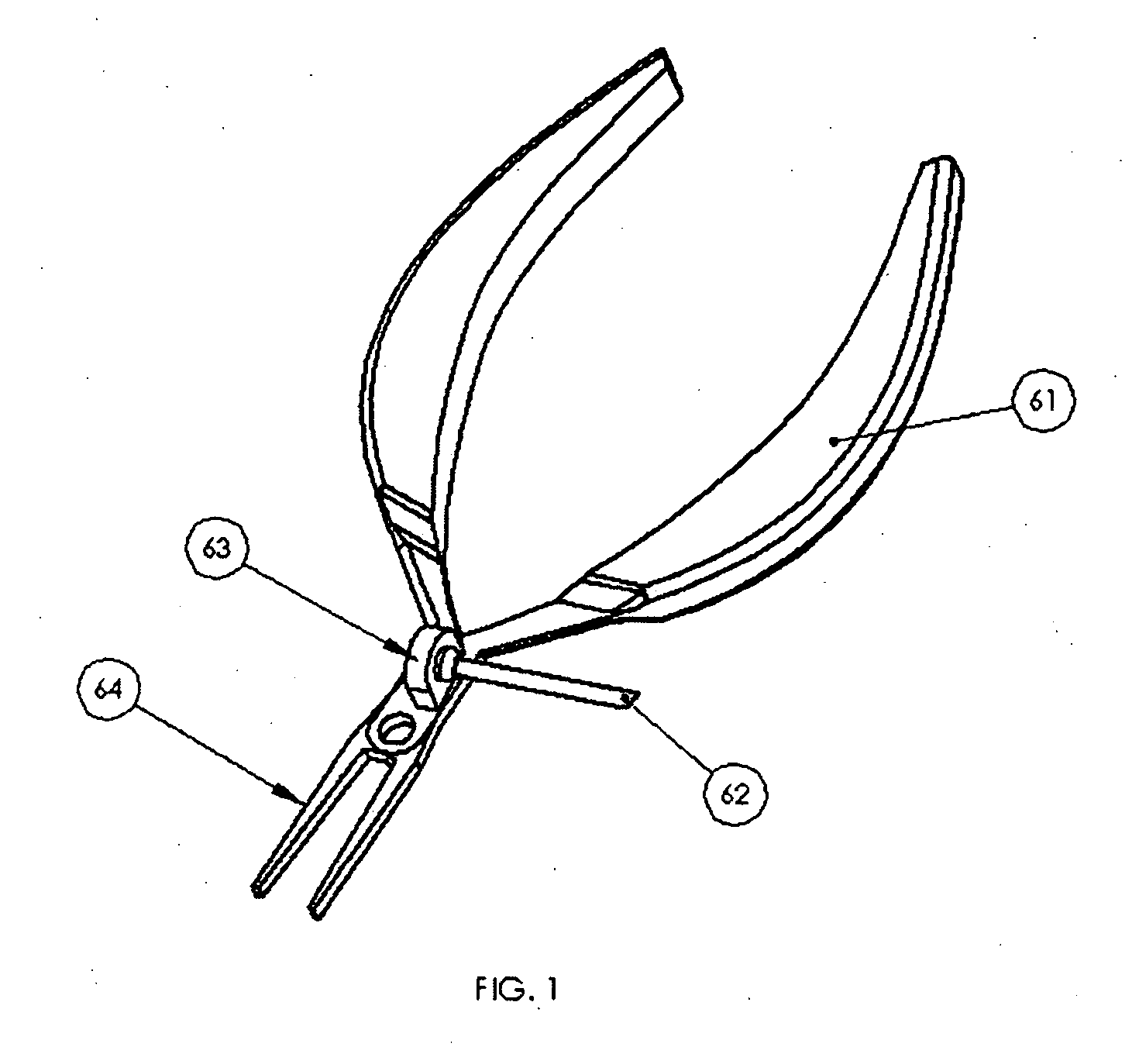 Apparatus and procedure for fish boning