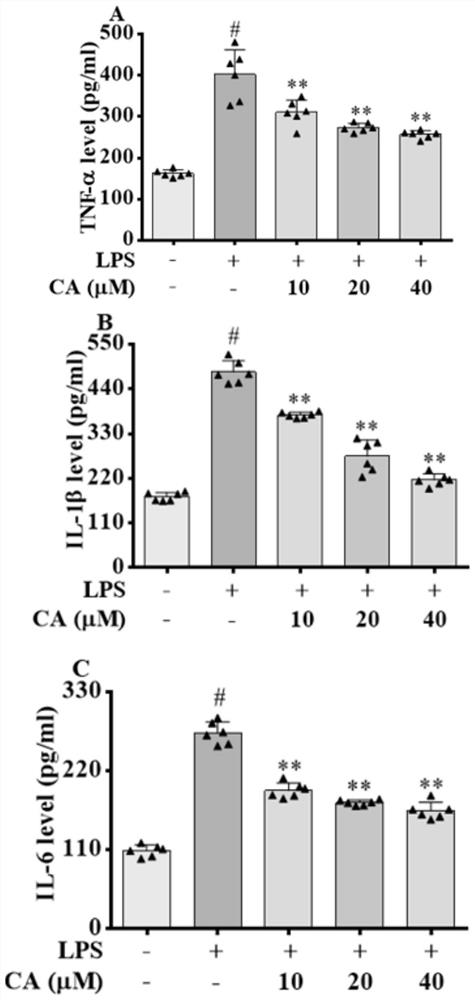 Application of evodiamine in preparation of anti-inflammatory drugs and/or immunosuppressor drugs