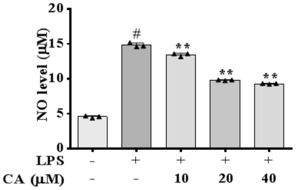 Application of evodiamine in preparation of anti-inflammatory drugs and/or immunosuppressor drugs