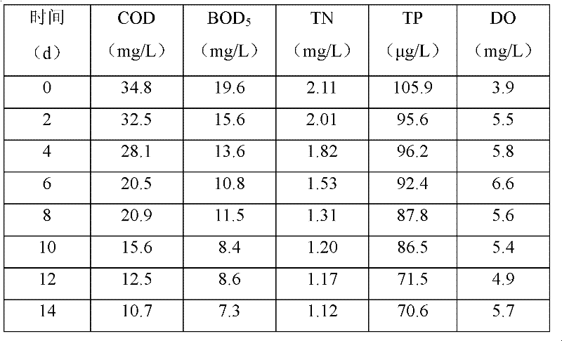 Method for purifying mariculture wastewater by utilizing compound microbial inoculant