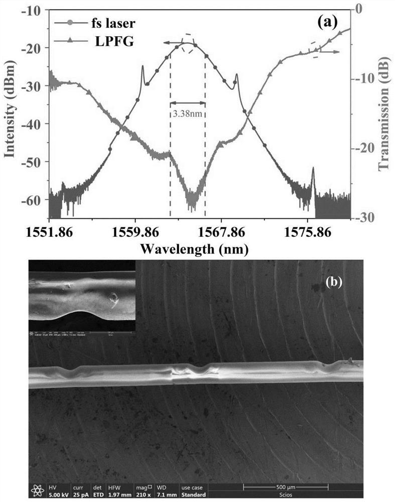 Vector soliton fiber laser, control method and application thereof