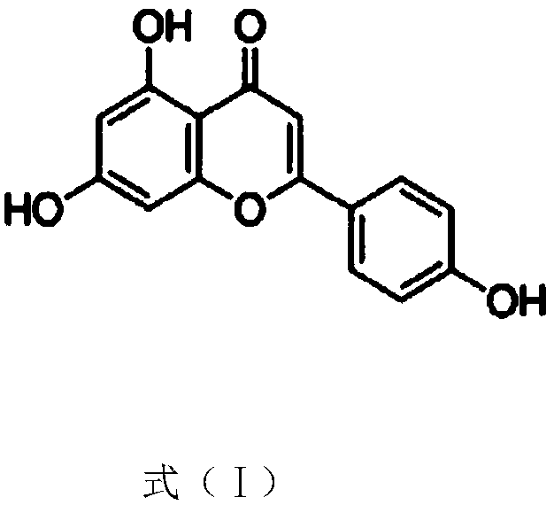 Use of Apigenin in preparation of drugs for prevention and treatment on chronic obstructive pulmonary diseases