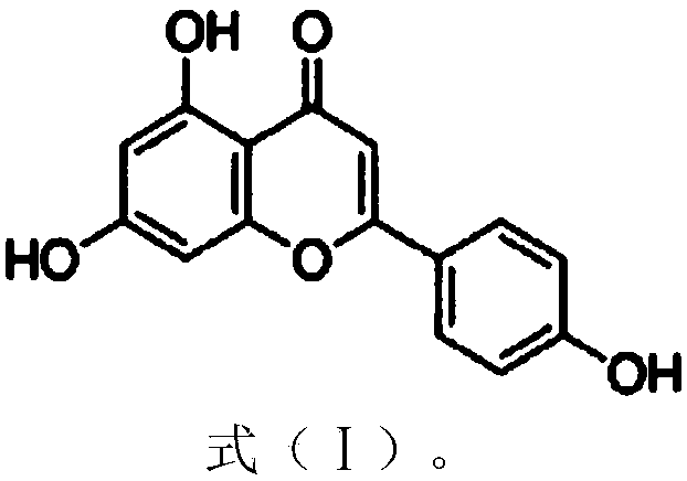 Use of Apigenin in preparation of drugs for prevention and treatment on chronic obstructive pulmonary diseases