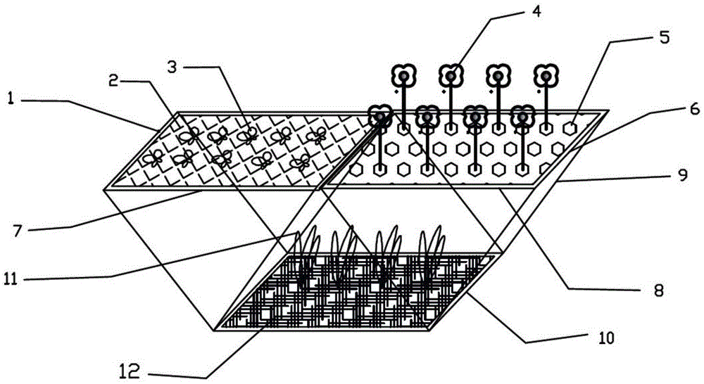 Aquatic plant fixing device for repairing water and bottom mud