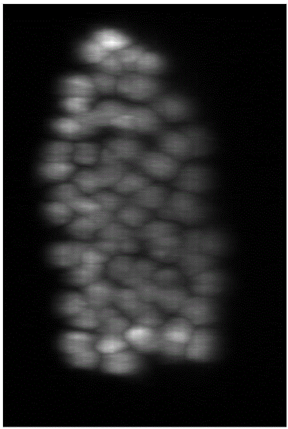 GPU (graphic processing unit) acceleration-based deconvolution algorithm for three-dimensional fluorescence microscopic image