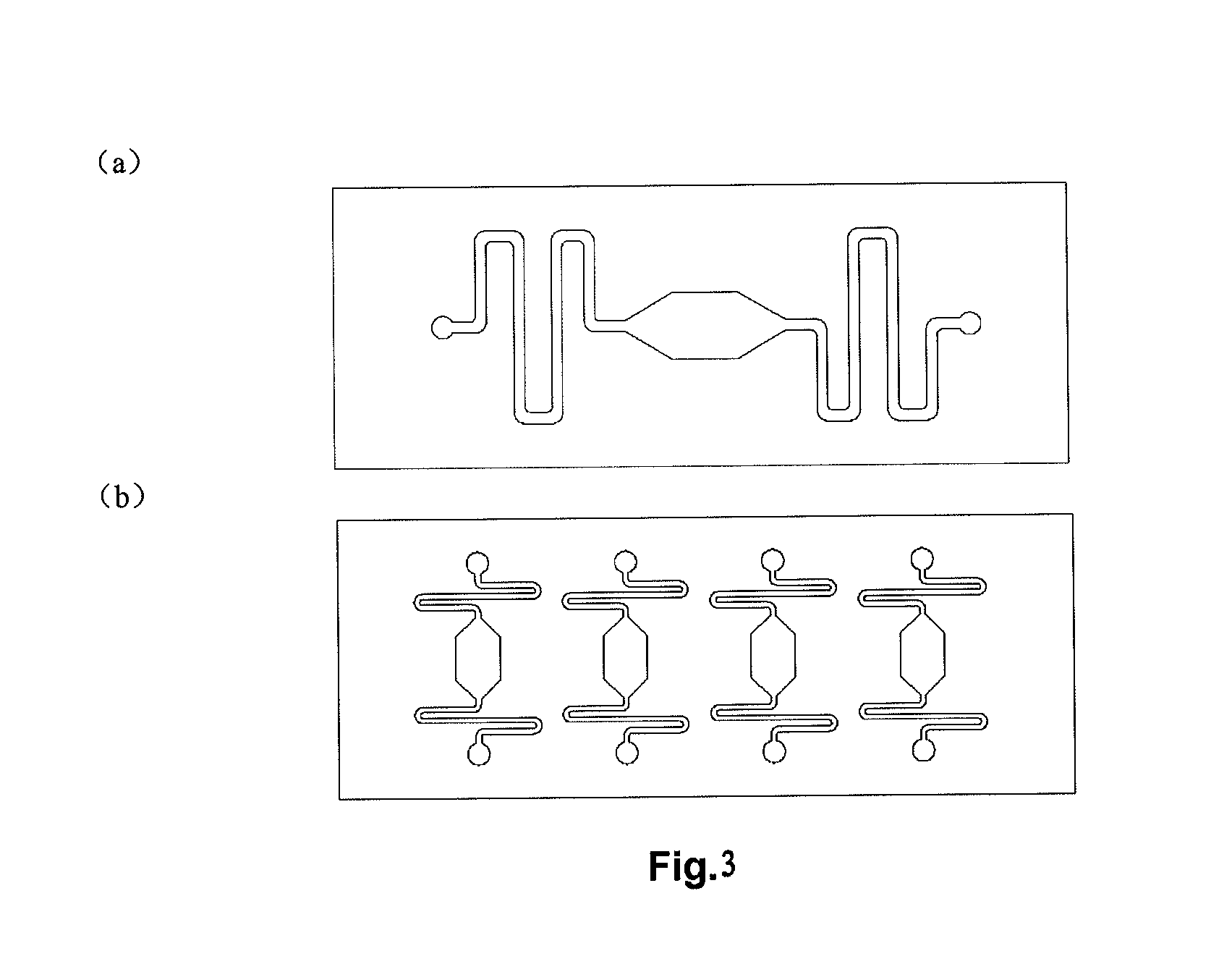 Automatic injection device for microarray chip and automatic injection hybridization microarray chip