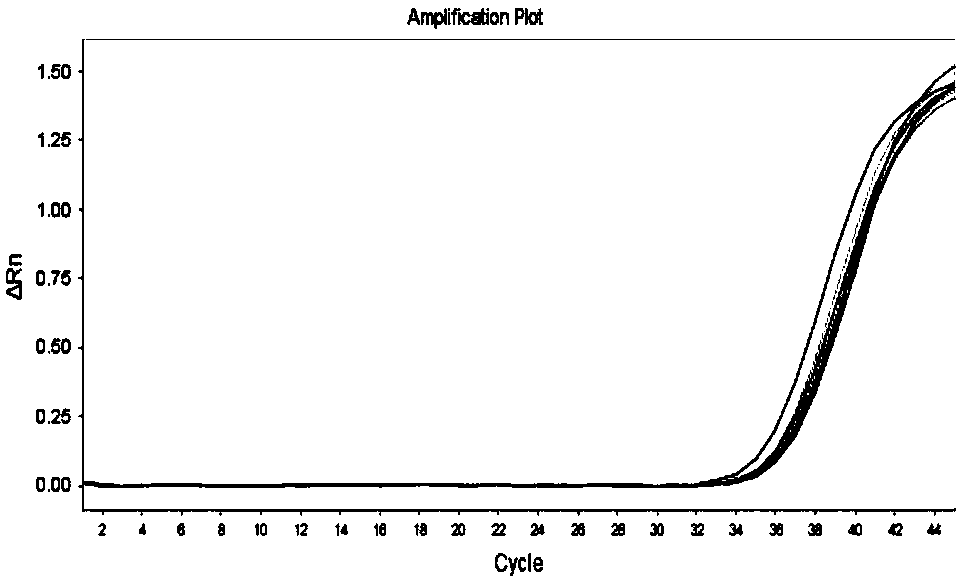 Nucleic acid extraction kit and application method thereof