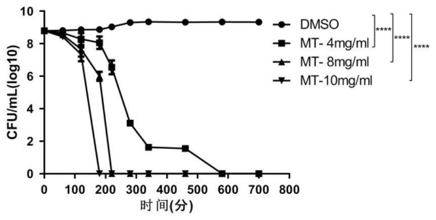 Application of melatonin in the preparation of drugs for inhibiting and/or killing bacteria