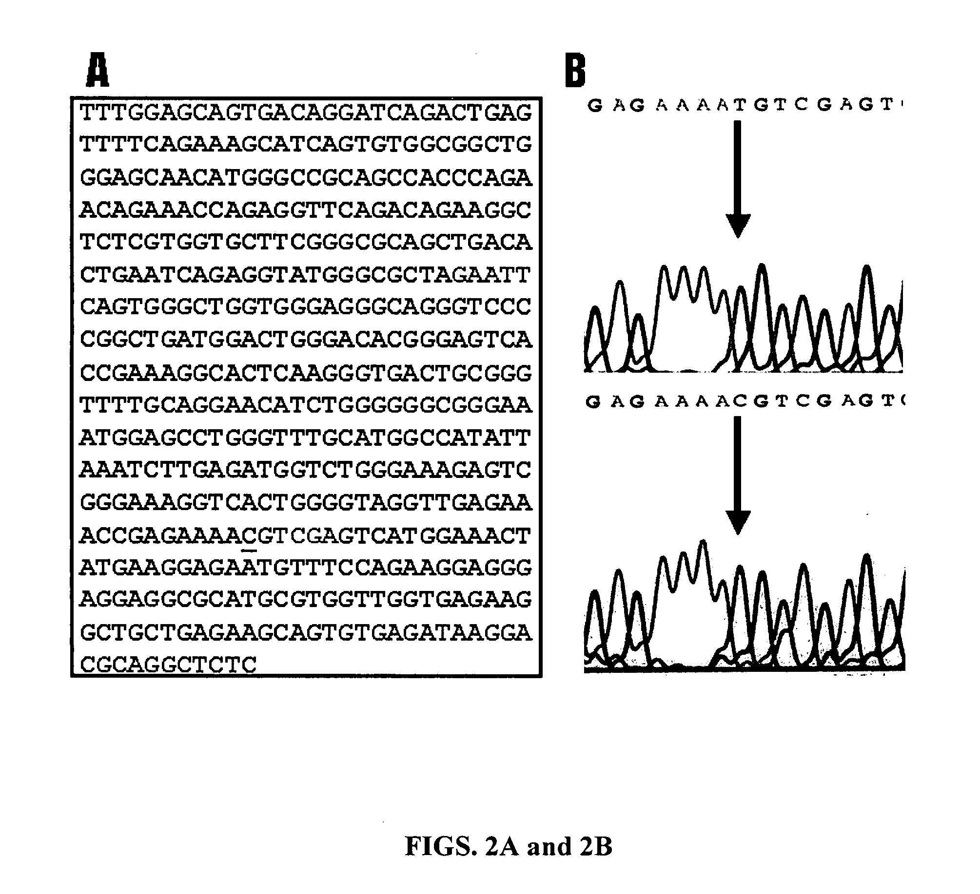 Simplified QTL mapping approach for screening and mapping novel markers associated with beef marbling