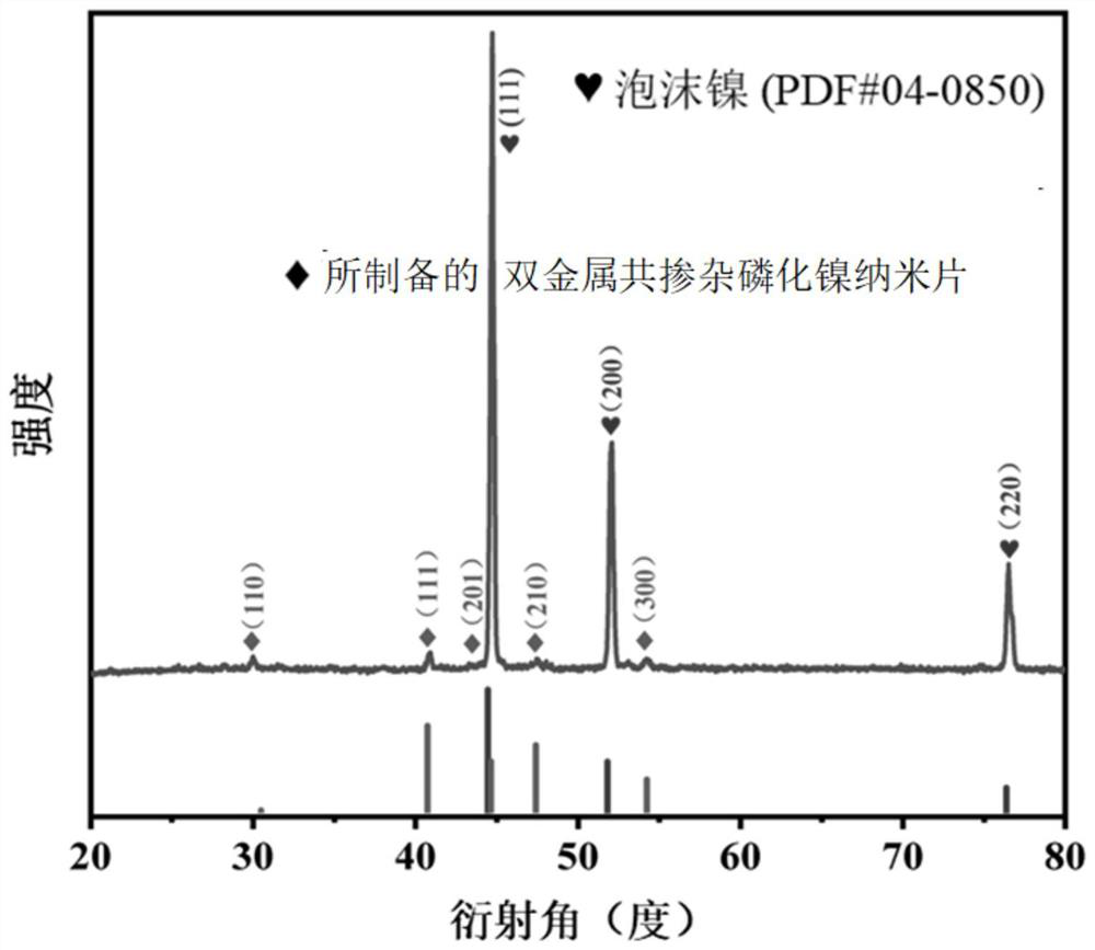 Preparation method and application of bimetallic co-doped nickel phosphide nanosheet