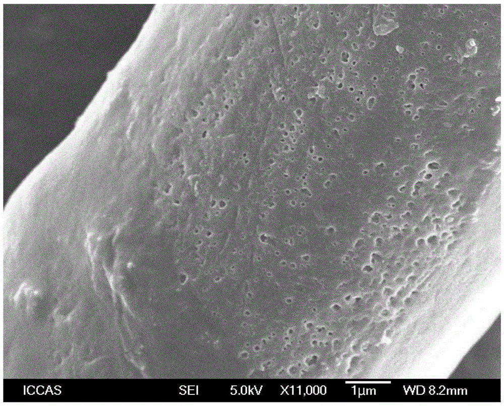 Water collection application of porous fine-denier nylon fiber