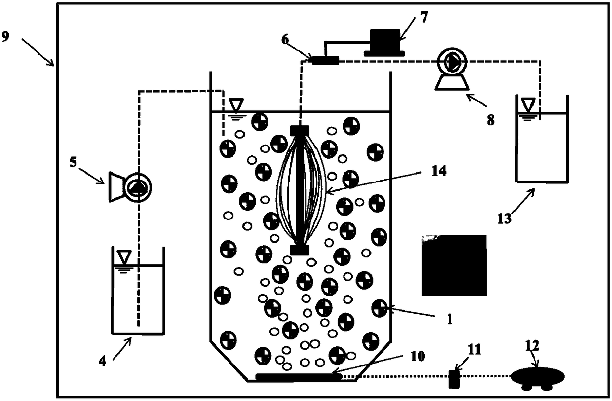 Biofilm carrier as well as reaction system and application thereof