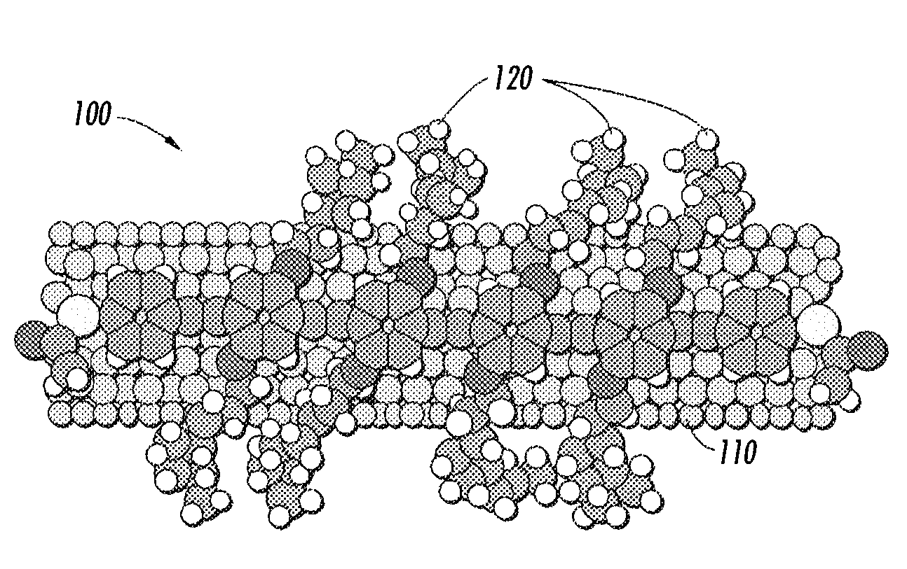 Carbon nanotube filled polycarbonate Anti-curl back coating with improved electrical and mechanical properties