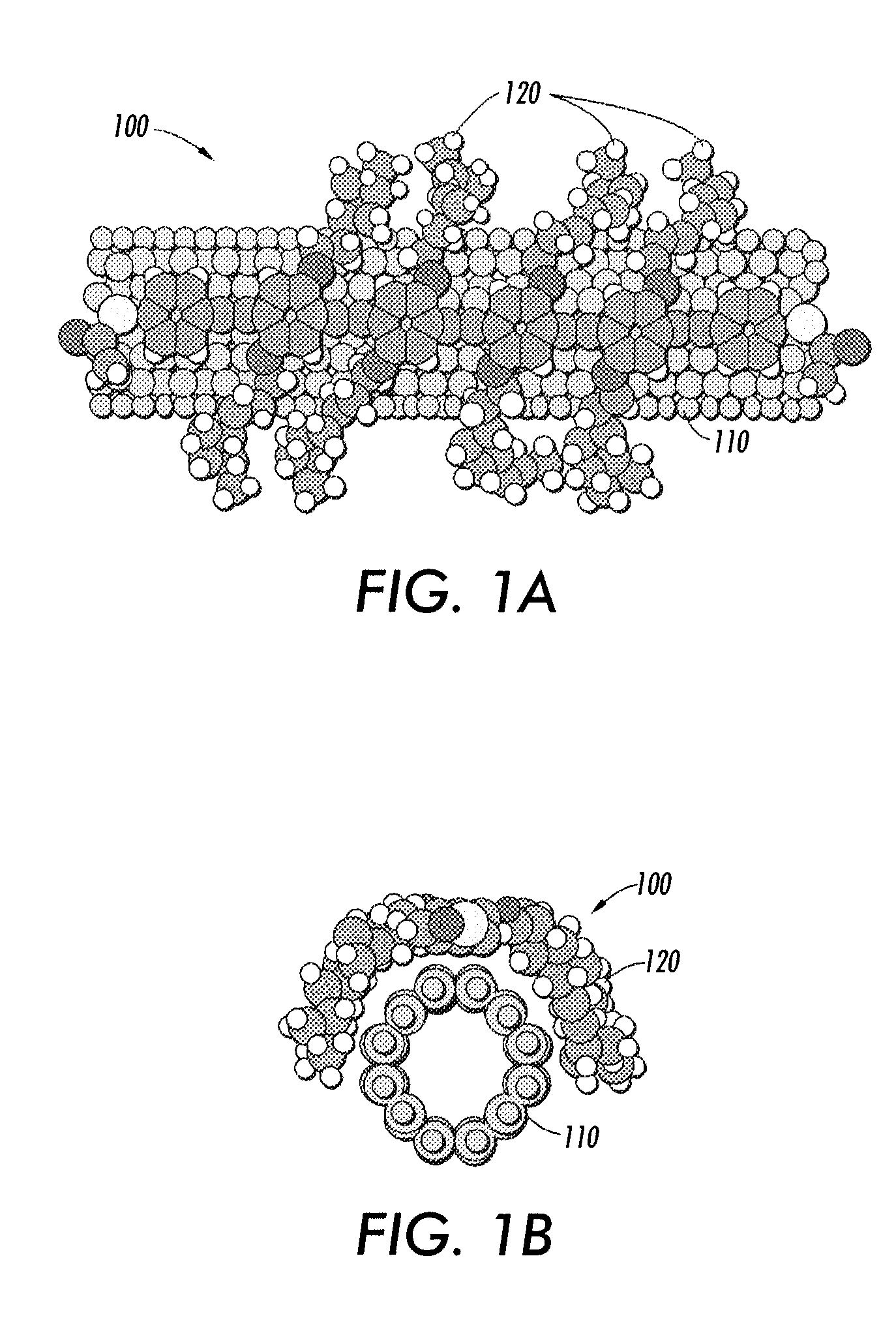 Carbon nanotube filled polycarbonate Anti-curl back coating with improved electrical and mechanical properties