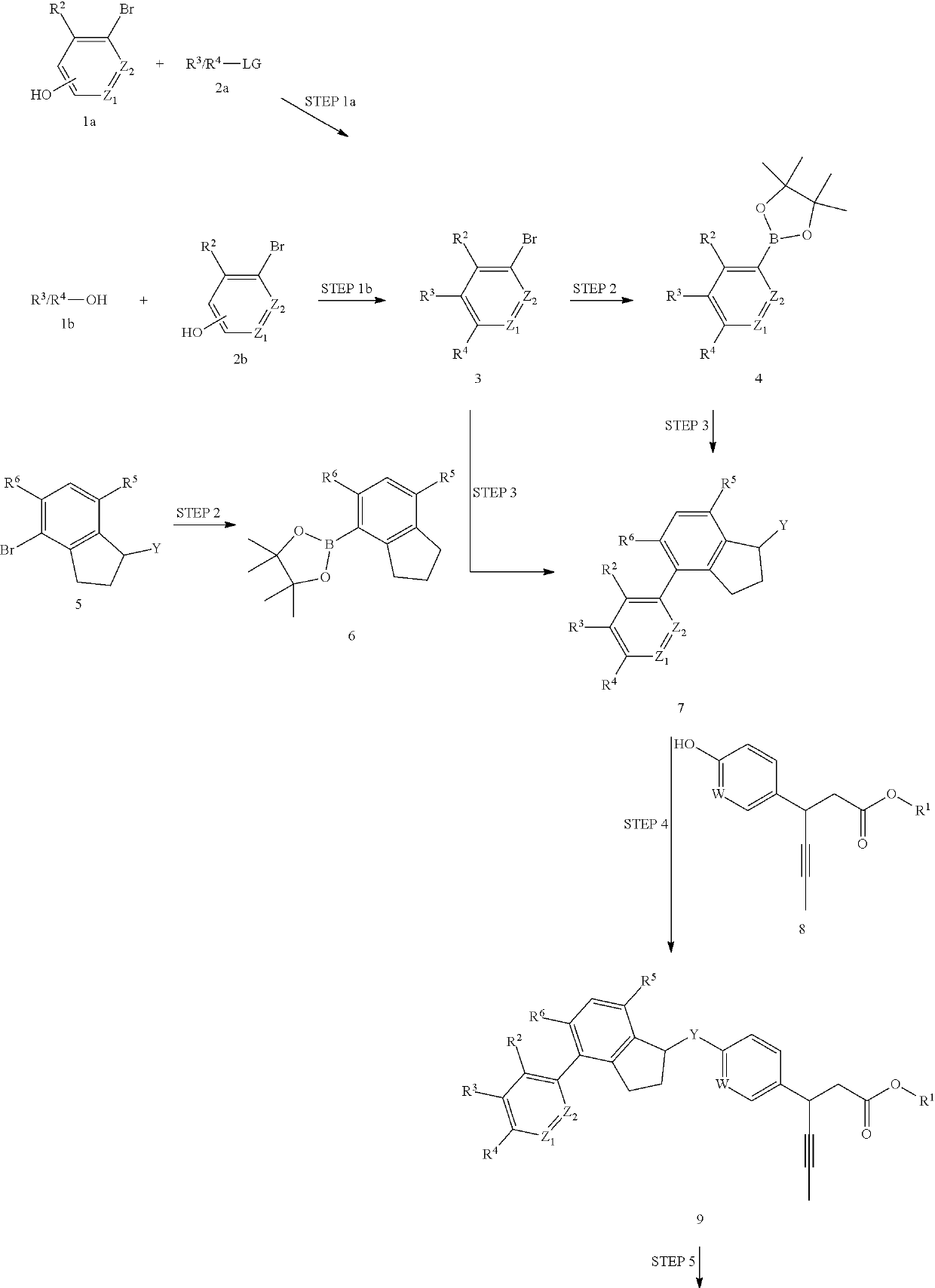 Novel phenyl propionic acid derivatives and uses thereof