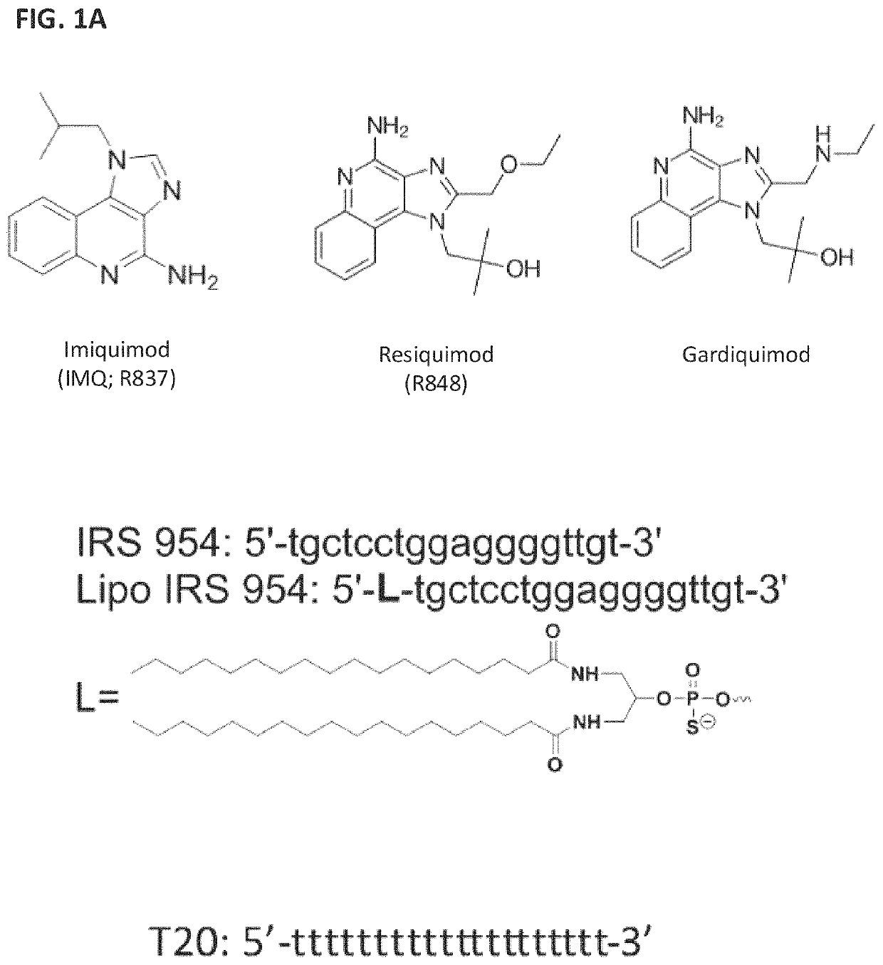 Amphiphilic oligodeoxynucleotide conjugates as adjuvant enhancers