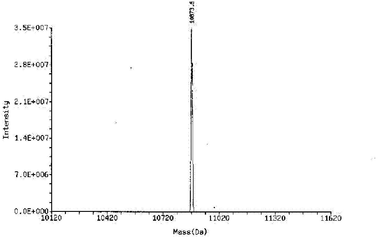 Drug delivery system for treating nasopharyngeal carcinoma (NPC) and construction method and application method thereof