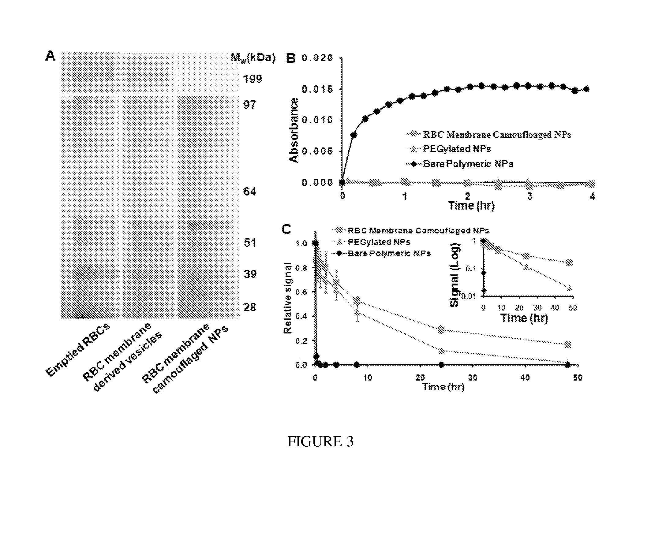 Membrane Encapsulated Nanoparticles and Method of Use
