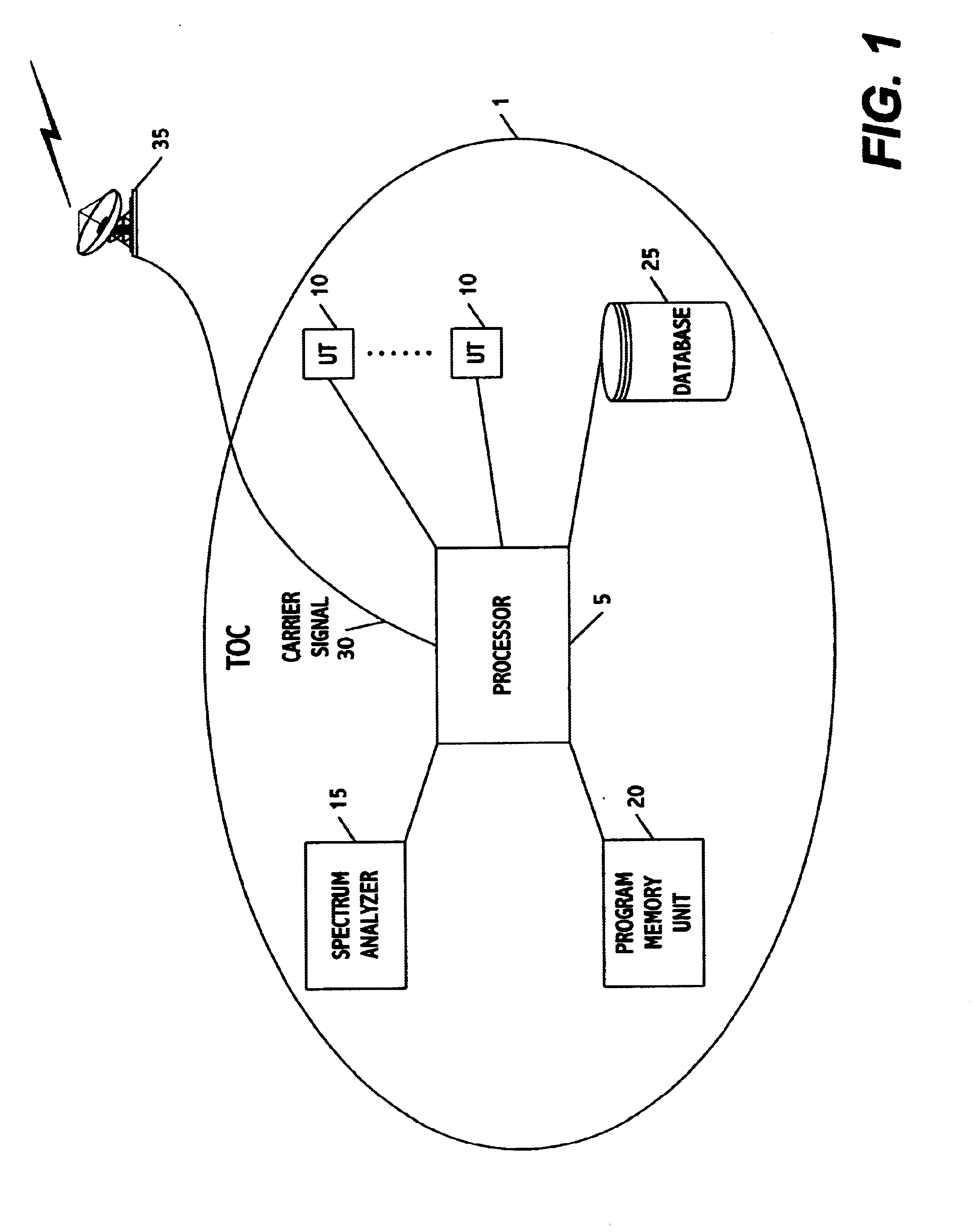 Satellite carrier measurement system and method