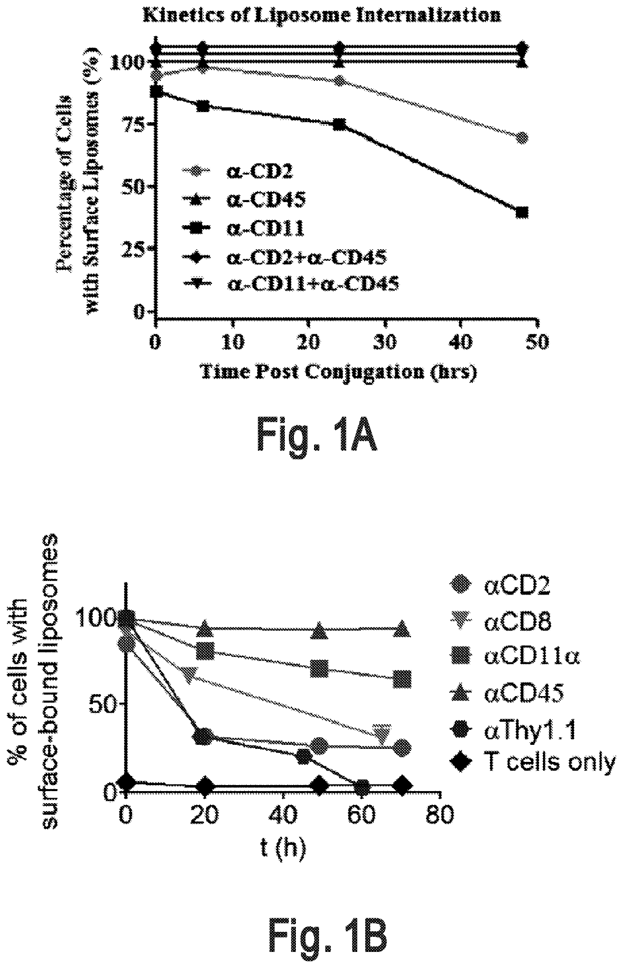 Cell surface coupling of nanoparticles