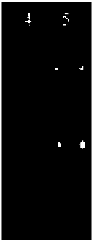 Method of determining relationships of gene expression and methylation modification regulation of predetermined species