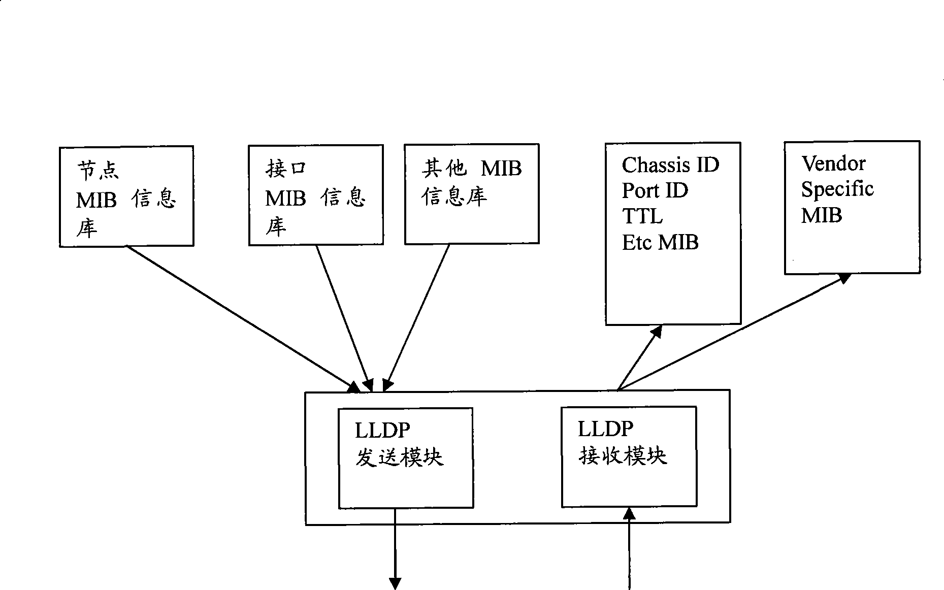 Method and apparatus for automatic topological discover and resource management in PBB TE network