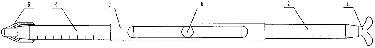 Standard ruler for reading and writing