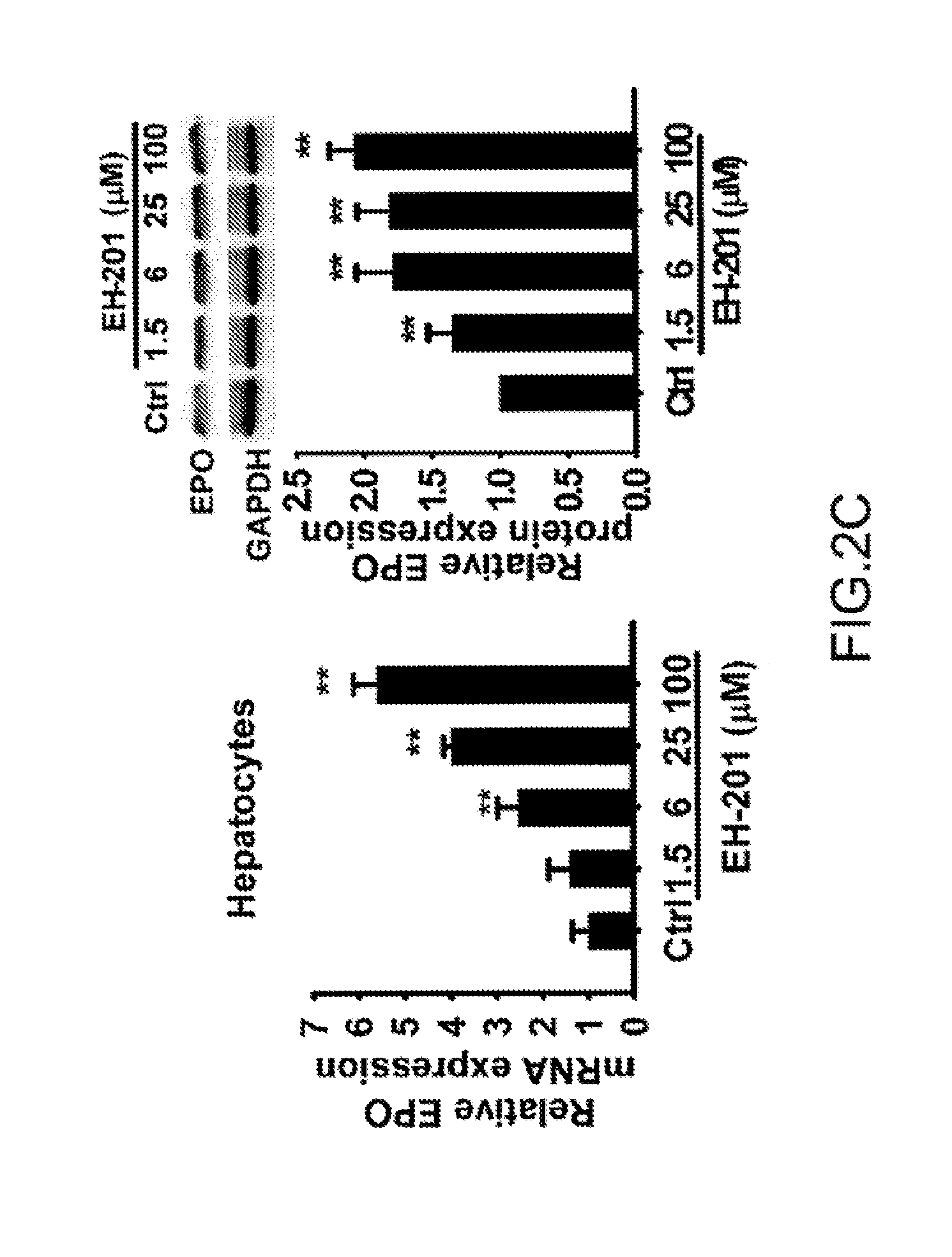 Composition and method for inducing EPO-mediated haemoglobin expression and mitochondrial biogenesis in nonhaematopoietic cell