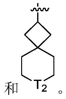 Spiro aryl phosphorus oxide or sulfide