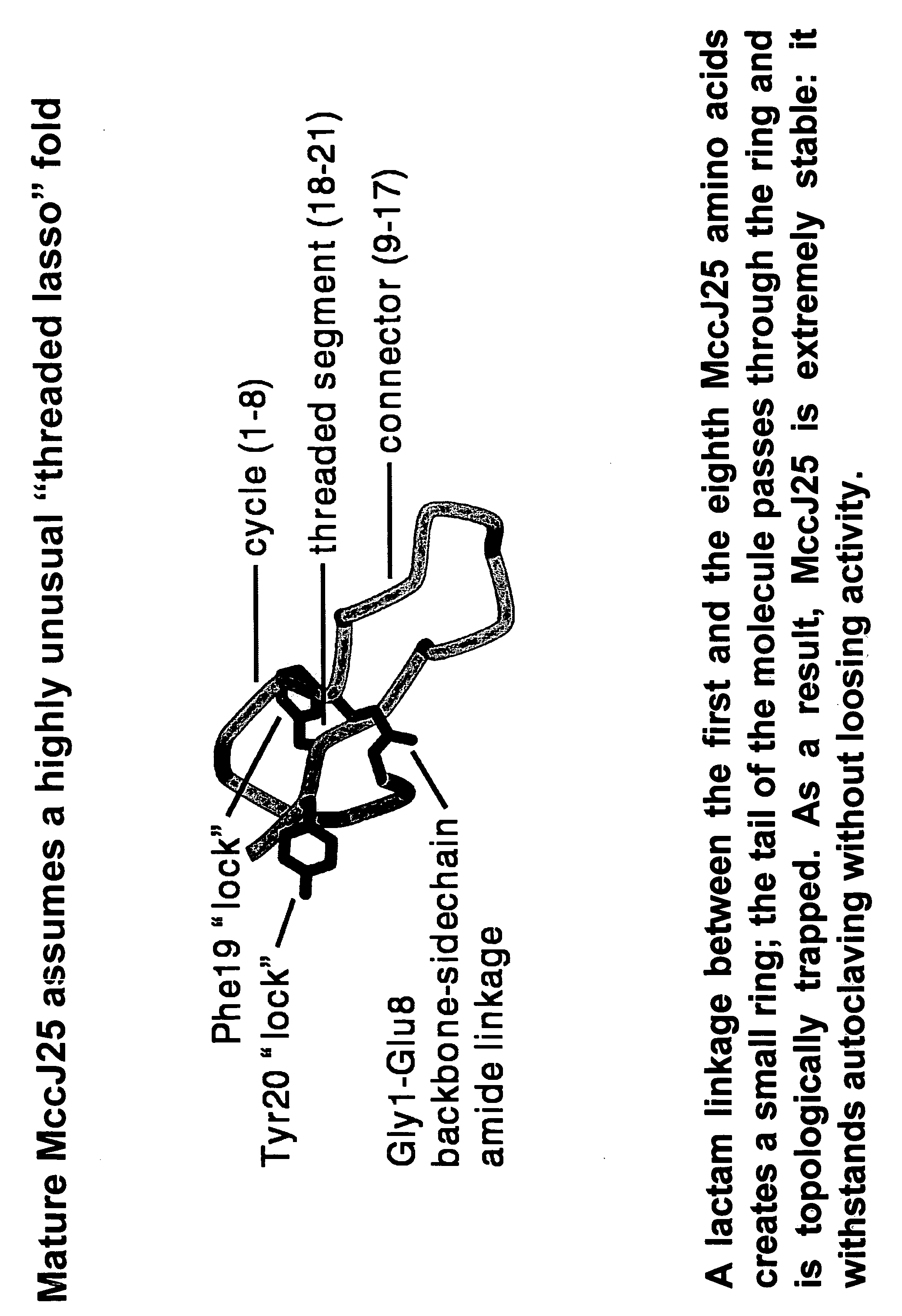 Mutational derivatives of microcin j25