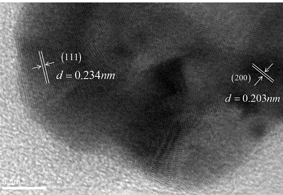 Hollow gold nanoparticle-DNA composite base and preparation method thereof