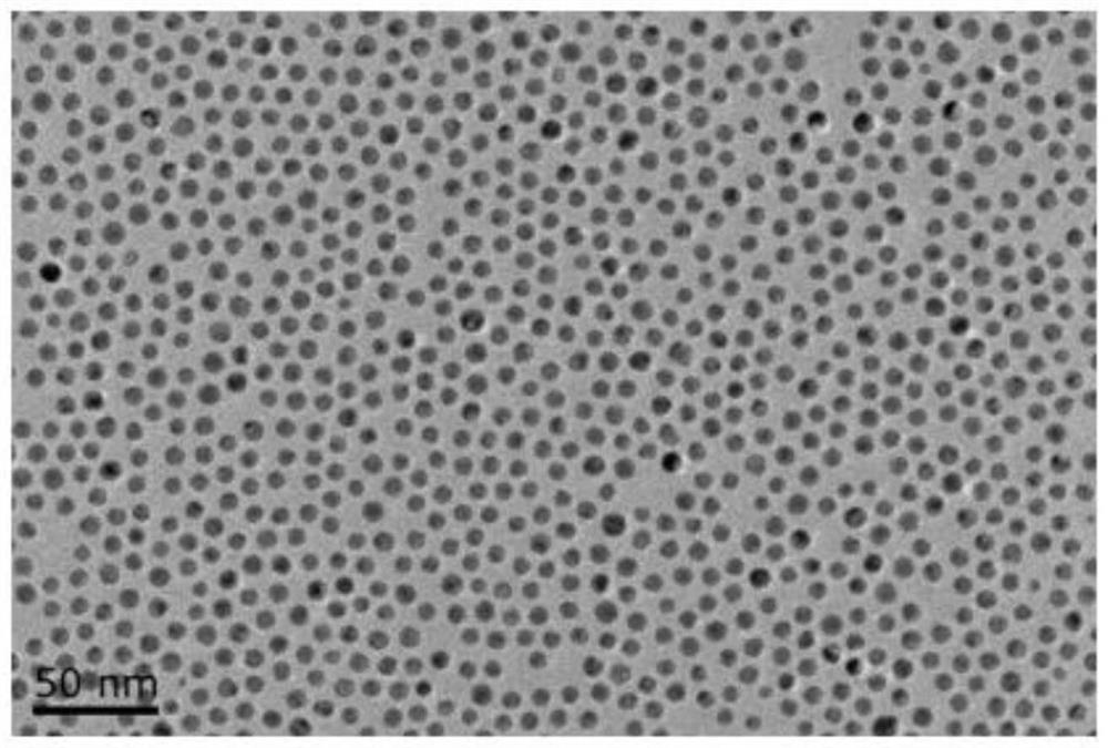 Preparation method and application of pH and thermal response type CuAu nano assembly