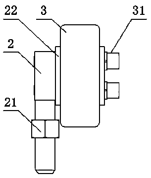 Rotor suitable for coarse cereal brushing machine