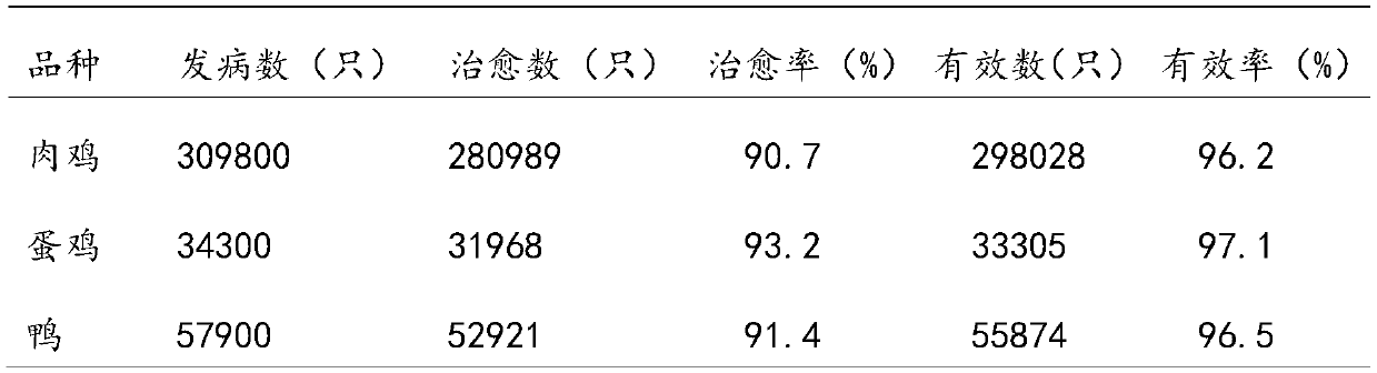 Traditional Chinese medicine composition for treating avian paramyxovirus type disease and preparation method and application thereof