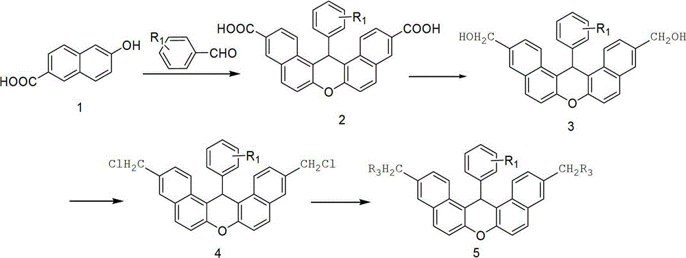 3,11-disubstituted-14-aryl-14H-dibenzo[a,j]xanthene derivatives, preparation methods and uses thereof