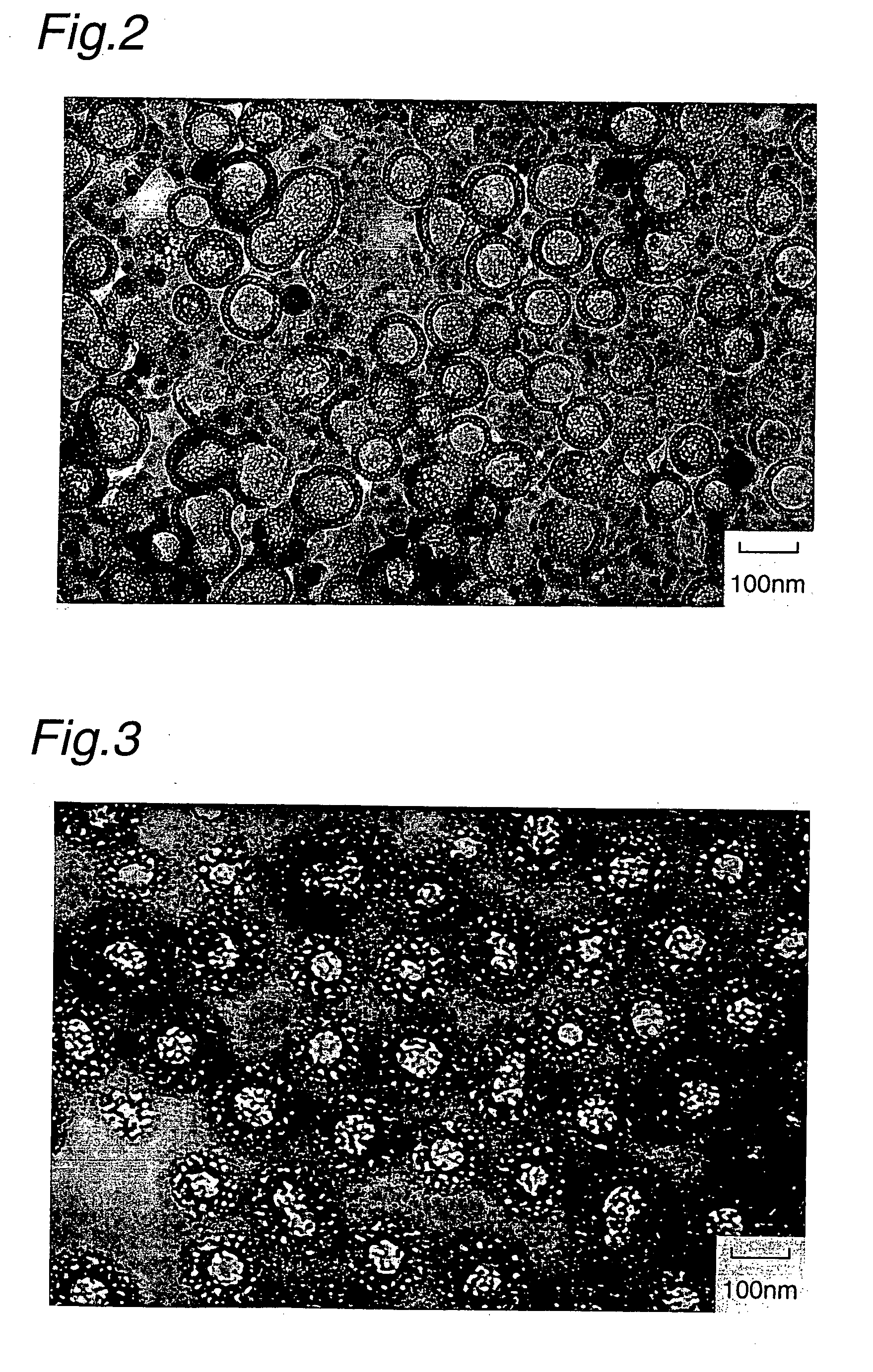 Inorganic compound particle and process for preparation thereof