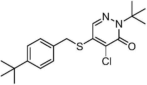 Pyridazinone compound and application thereof