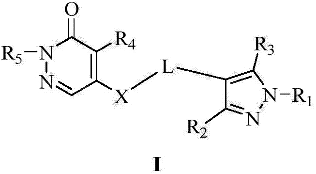 Pyridazinone compound and application thereof