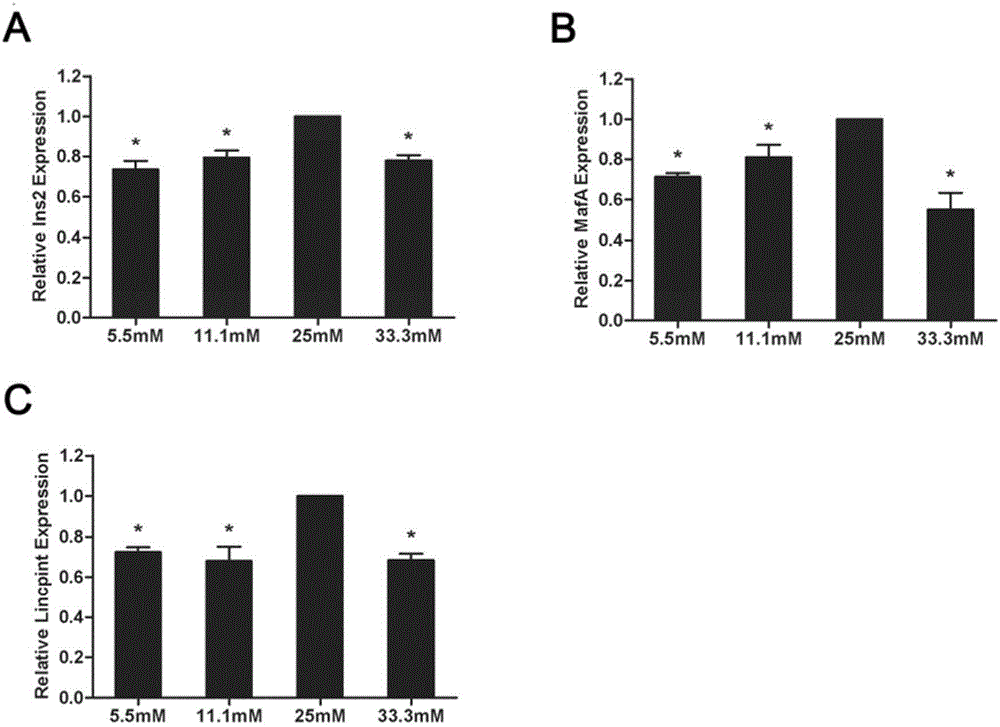 Long non-coding RNA and application thereof in diagnosis and/ or treatment of T2DM