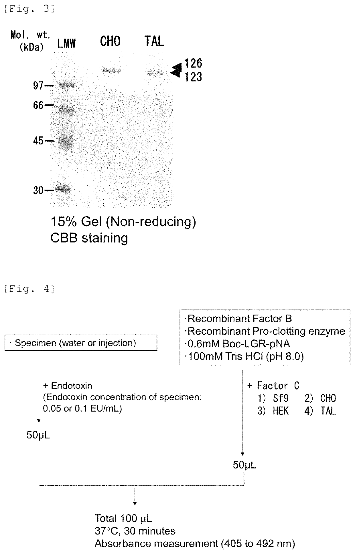 Recombinant Factor C and method for producing the same, and method for measuring endotoxin