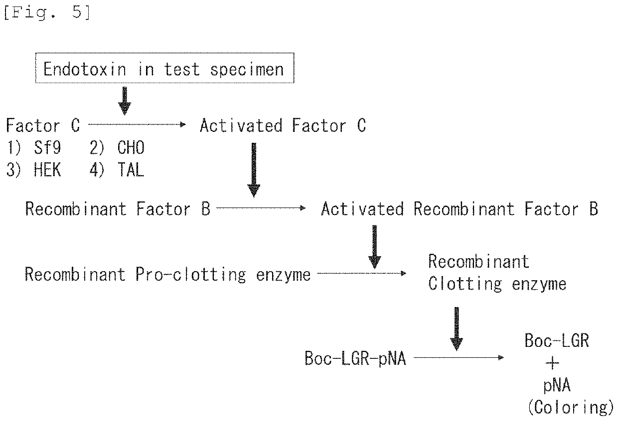 Recombinant Factor C and method for producing the same, and method for measuring endotoxin