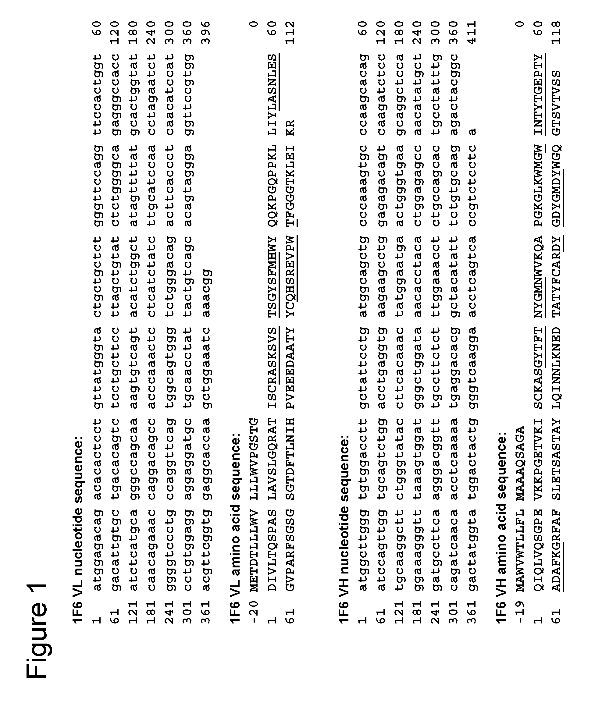 Anti-CD70 Antibody And Its Use For The Treatment And Prevention Of Cancer And Immune Disorders