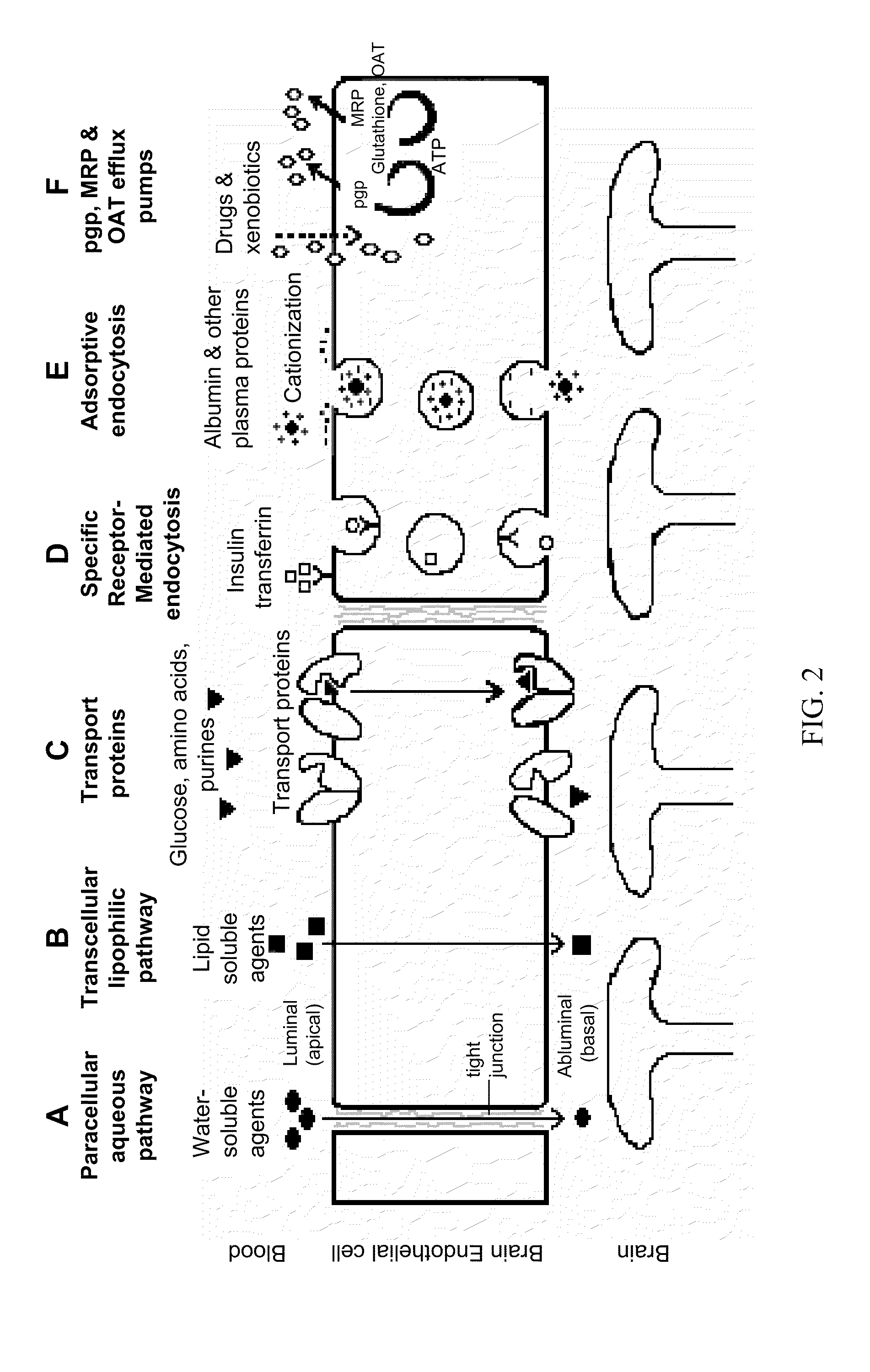 Methods and compositions for treating pain